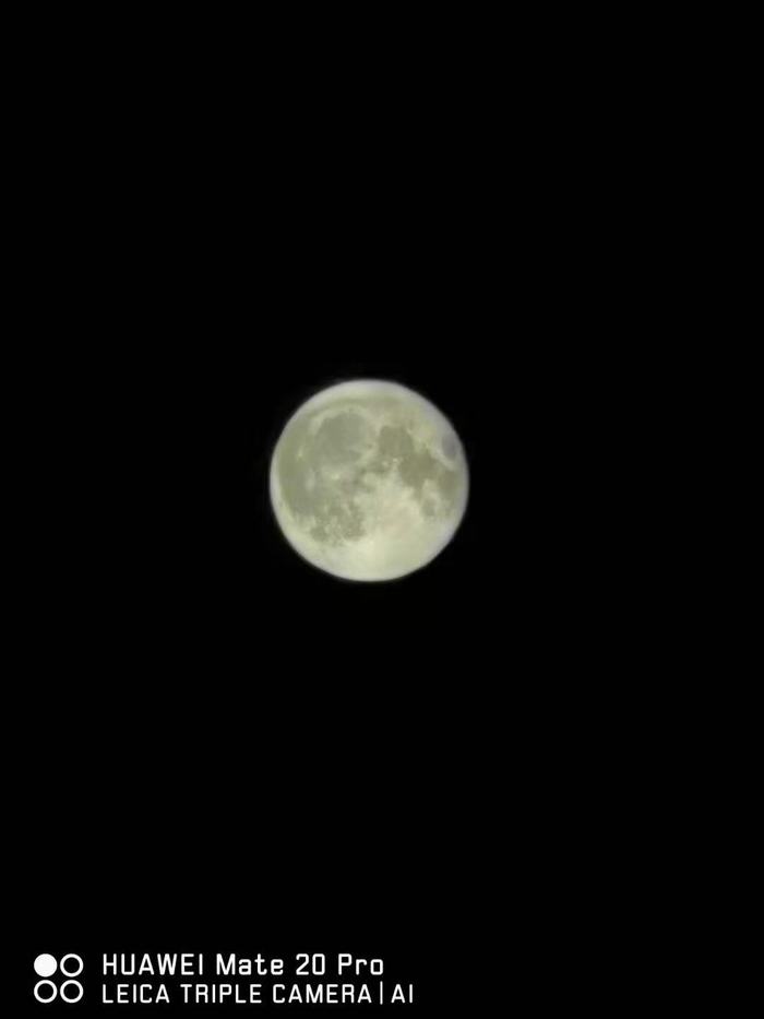 ^﹝(ji)ͺӂffʮ﹝(ji)āv\