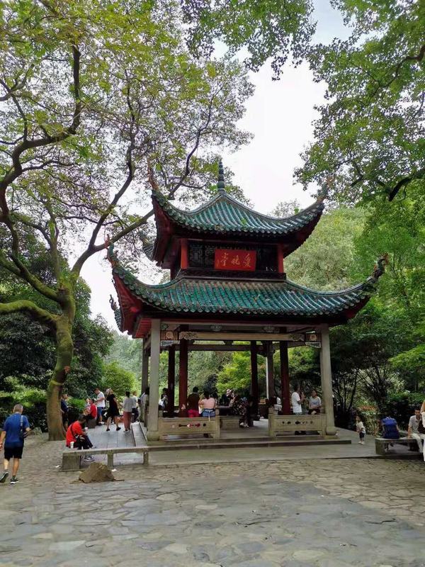 ´ɽ_W(wng)j(lu)W(wng)վʮ´ɽӛ